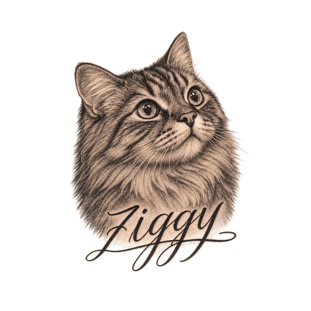 A pencil portrait of Ziggy with his name in script beneath