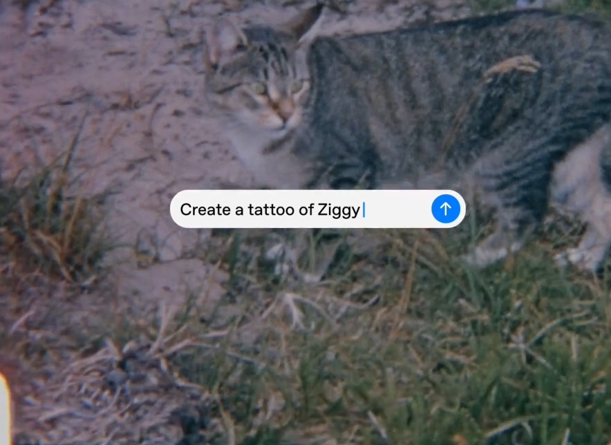 The prompt bar over the lawn footage